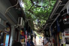 Visit to Molyvos village